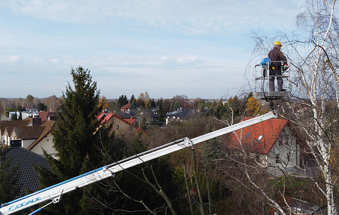 przycinka drzew Kraśnik